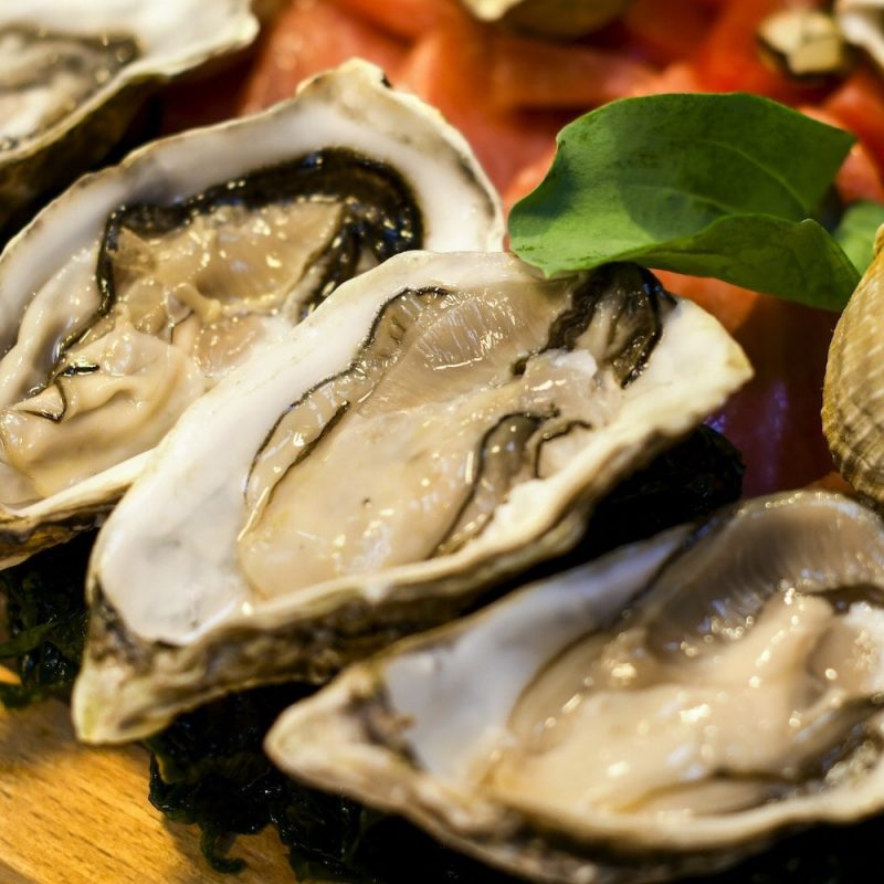 fish restaurant salerno